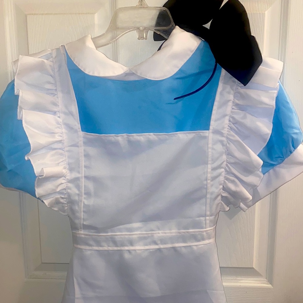 Alice and wonderland costume Size Xl